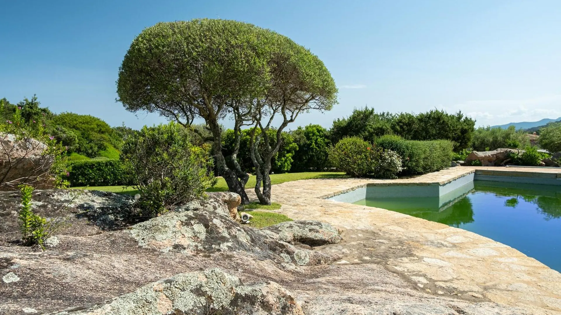 Cala Di Volpe Vista Mare E Piscina Villa Abbiadori